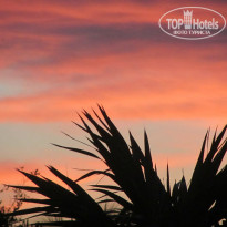 фото из отзыва ID 1228080