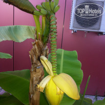 фото из отзыва ID 1228209