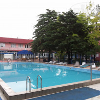 фото из отзыва ID 1228209