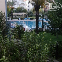 фото из отзыва ID 1226402