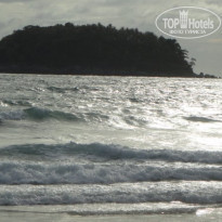 фото из отзыва ID 1228220