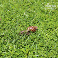 фото из отзыва ID 1228342