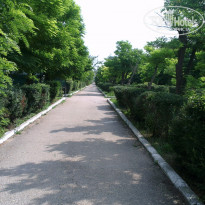 фото из отзыва ID 1228366