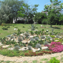 фото из отзыва ID 1228366