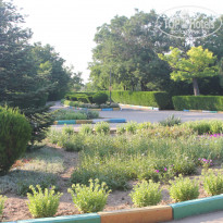 фото из отзыва ID 1228366