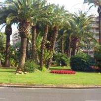 фото из отзыва ID 1228431