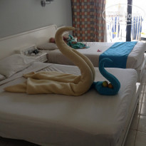 фото из отзыва ID 1228623