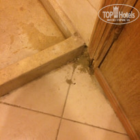 фото из отзыва ID 1228765