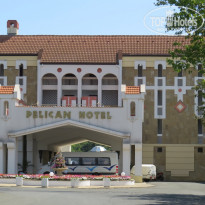 фото из отзыва ID 1229212