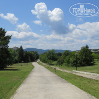 фото из отзыва ID 1229212