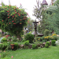 фото из отзыва ID 1229212