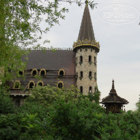 фото из отзыва ID 1229212