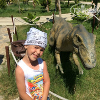 фото из отзыва ID 1226402