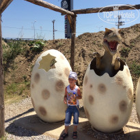 фото из отзыва ID 1226402