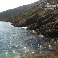 фото из отзыва ID 1229348