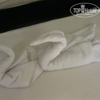 фото из отзыва ID 1229415