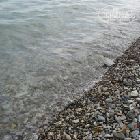 фото из отзыва ID 1229420