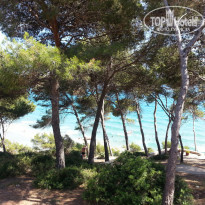 фото из отзыва ID 1229561