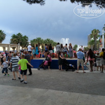 фото из отзыва ID 1229561