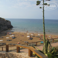 фото из отзыва ID 1229561