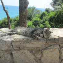 фото из отзыва ID 1229561