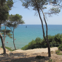 фото из отзыва ID 1229561