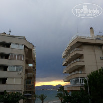 фото из отзыва ID 1229561