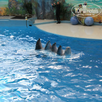 фото из отзыва ID 1228962