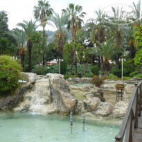 фото из отзыва ID 1229648