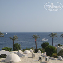 фото из отзыва ID 1229725