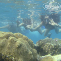 фото из отзыва ID 1229972