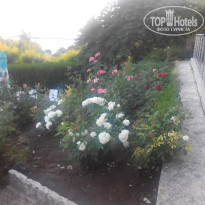 фото из отзыва ID 1229080