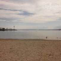 фото из отзыва ID 1229080