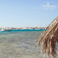 фото из отзыва ID 1226256