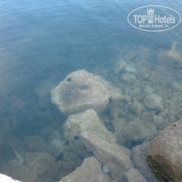 фото из отзыва ID 1225136