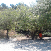 фото из отзыва ID 1225136