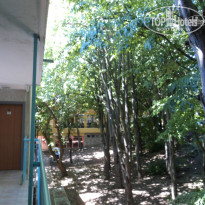 фото из отзыва ID 1229069