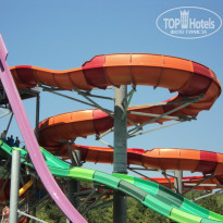 фото из отзыва ID 1229069