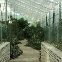 фото из отзыва ID 1229069