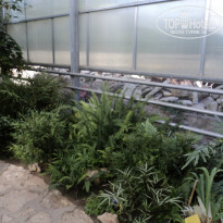 фото из отзыва ID 1229069