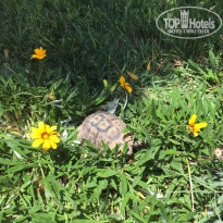 фото из отзыва ID 1220739