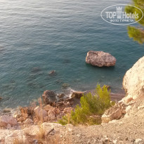 фото из отзыва ID 1226290