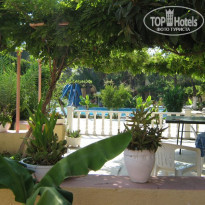 фото из отзыва ID 123287