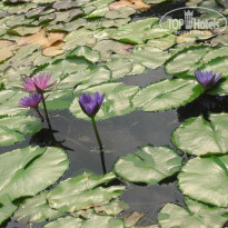 фото из отзыва ID 123528