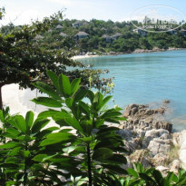 фото из отзыва ID 123873