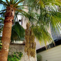 фото из отзыва ID 123890