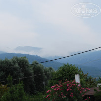 фото из отзыва ID 1230112