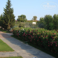 фото из отзыва ID 1230163