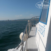 фото из отзыва ID 1230427