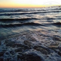 фото из отзыва ID 1230564